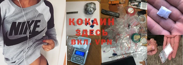 дурь Каменногорск