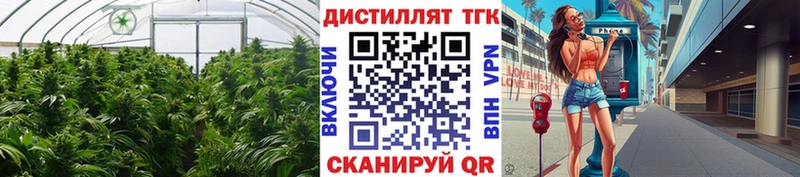 Дистиллят ТГК жижа  Купить  Великие Луки 