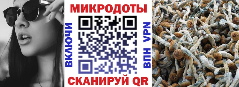 Купить где  Великие Луки  Галлюциногенные грибы MAGIC MUSHROOMS 